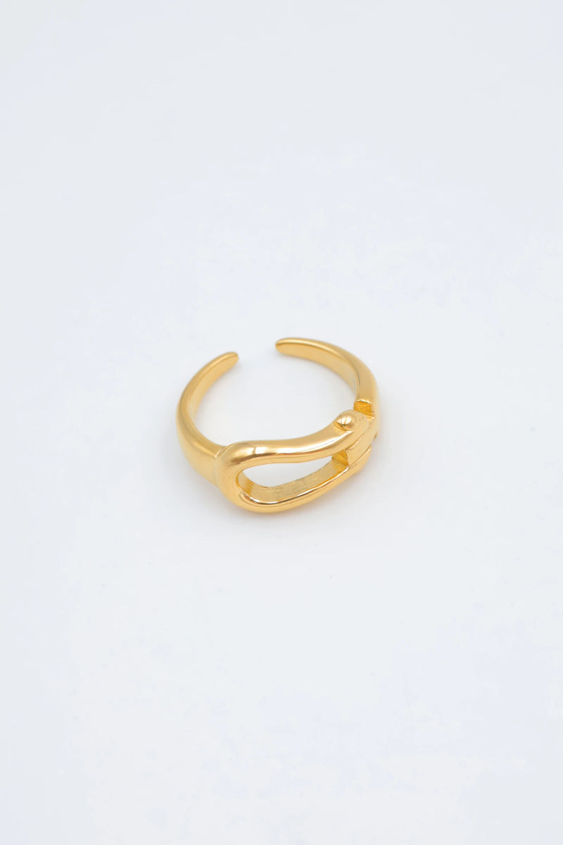 Bague en acier inoxydable ajustable 2