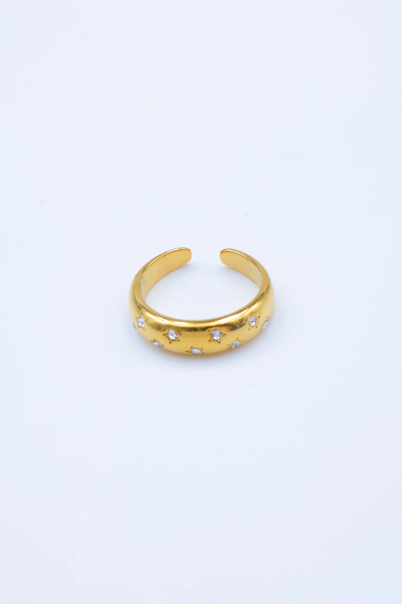 Bague en acier inoxydable ajustable 2