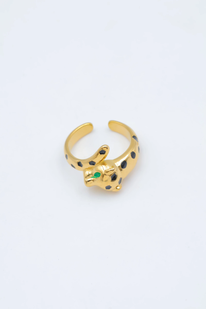 Bague en acier inoxydable ajustable 2