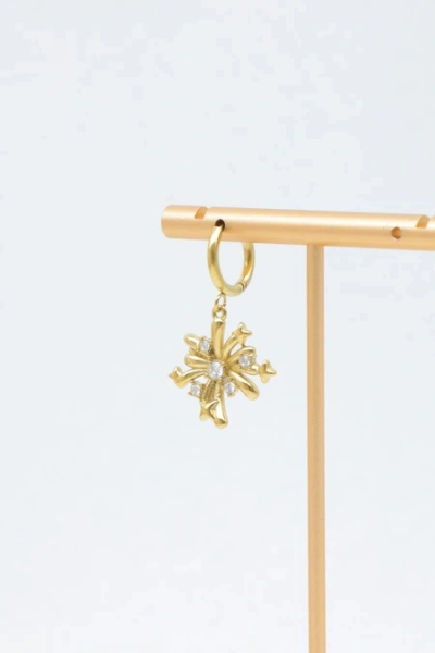 Boucles d'oreilles en acier inoxydable 2