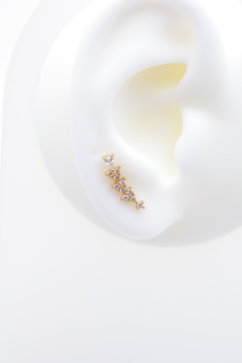 Piercing d'oreille en acier inoxydable 2