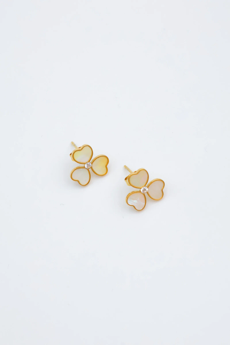 Stainless steel earrings 4