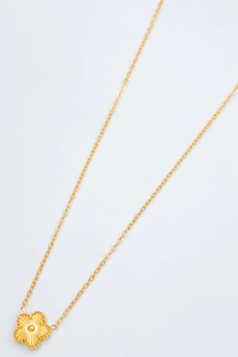Collier en acier inoxydable 2
