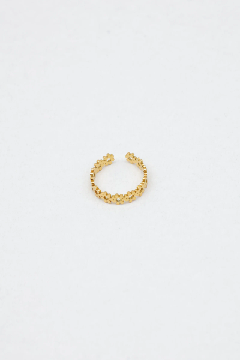 Bague d'orteil en acier inoxydable 2