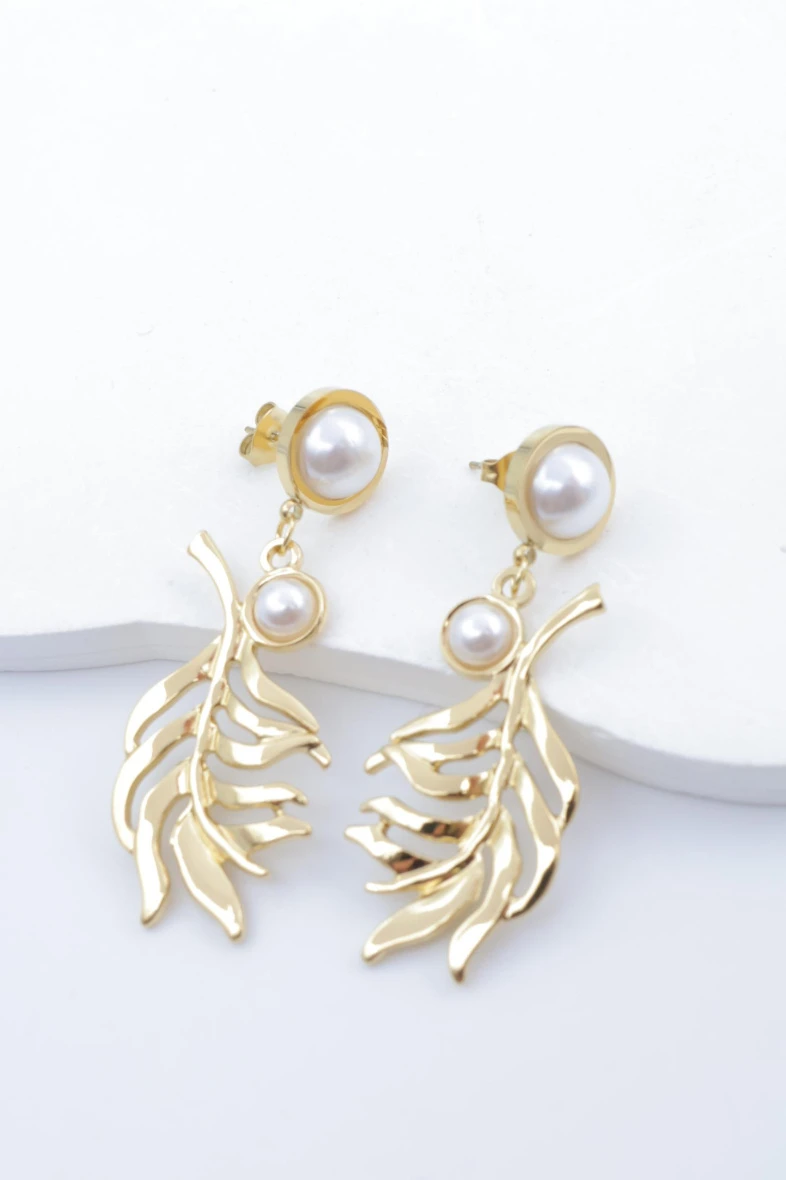 Stainless steel earrings 2