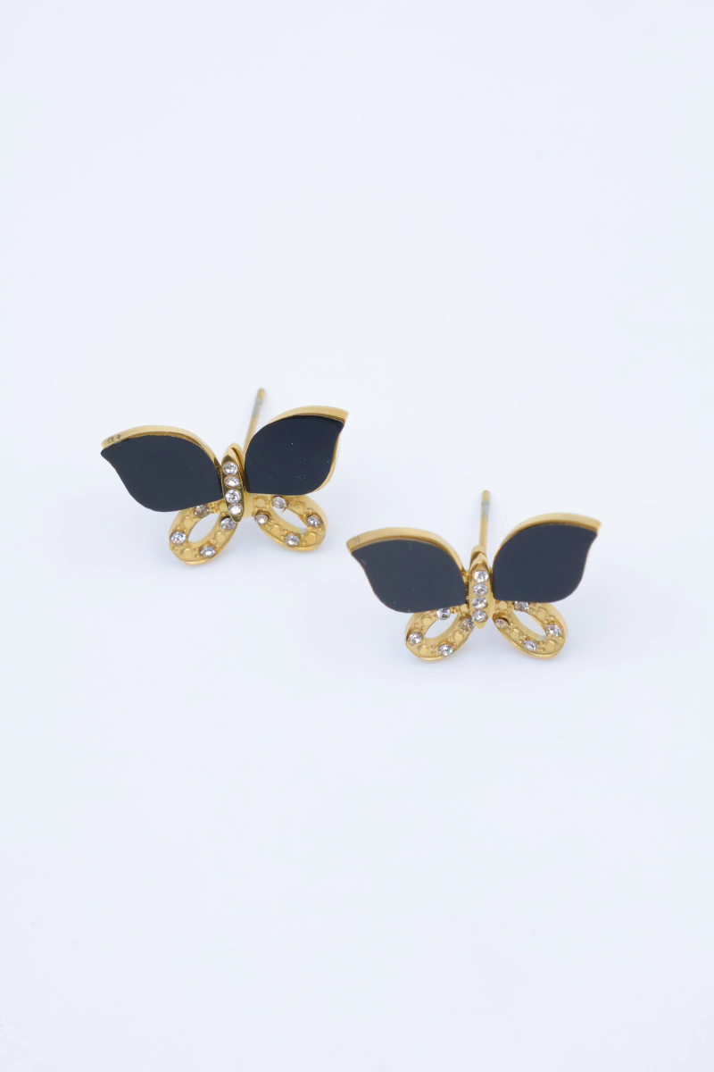 Stainless steel earrings 2