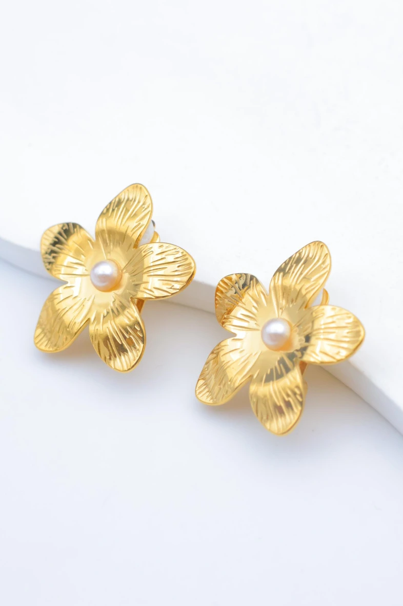 Earrings 2