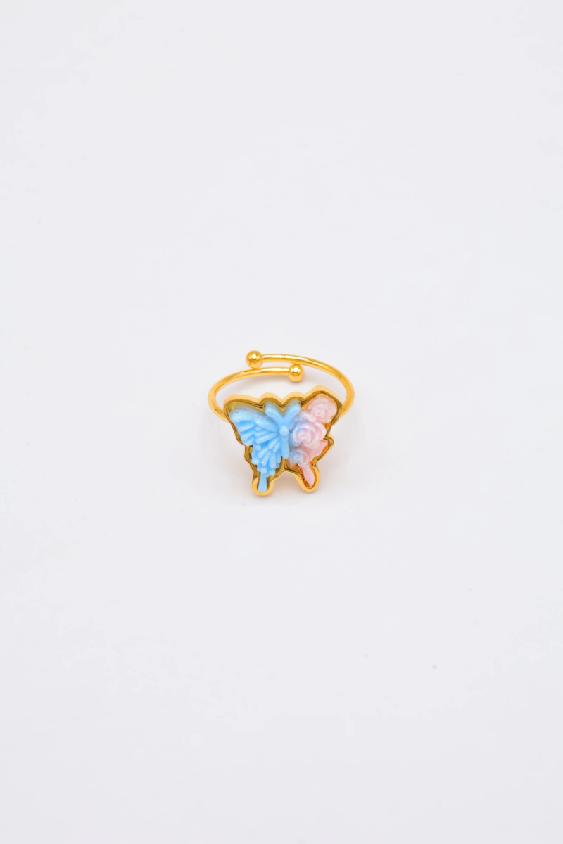 Bague en acier inoxydable ajustable 2