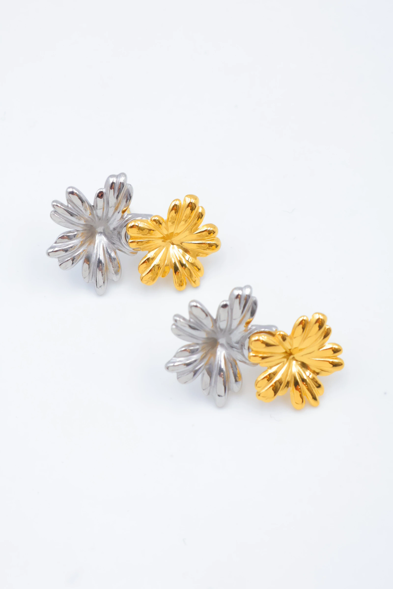 Stainless steel earrings 2