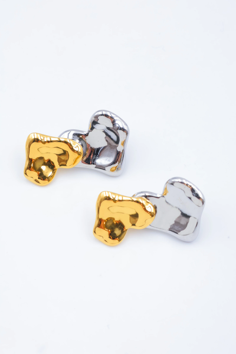 Stainless steel earrings 2