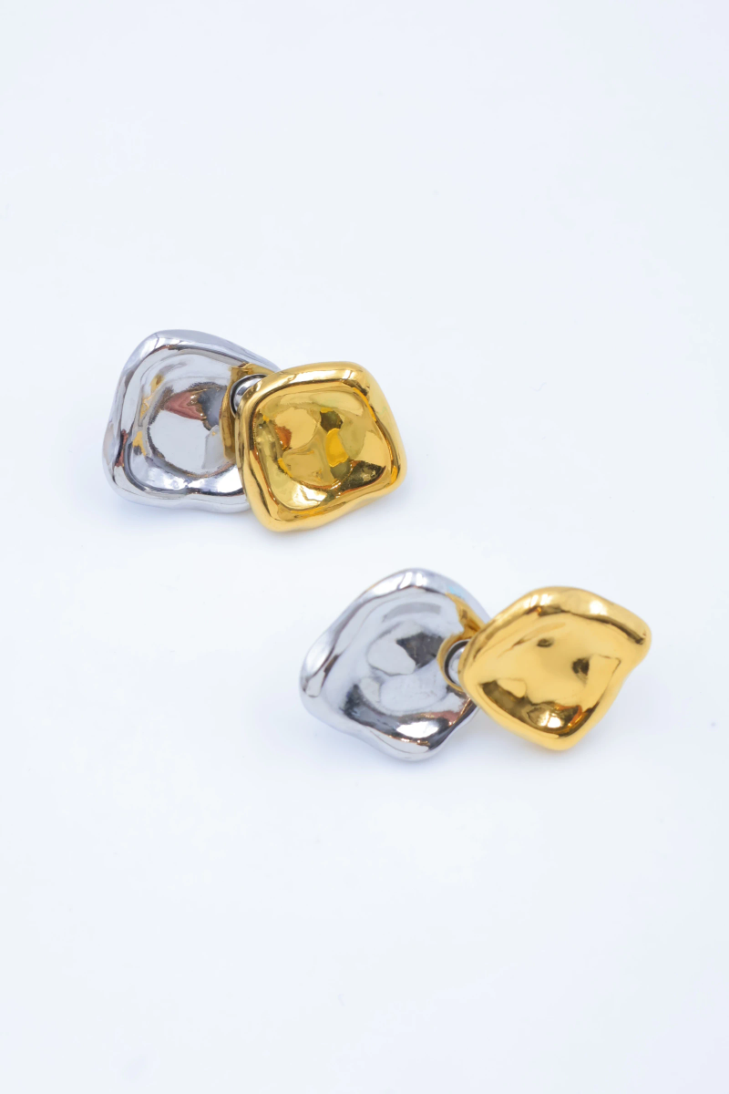 Stainless steel earrings 2
