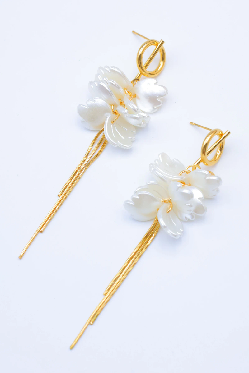 Stainless steel earrings 2