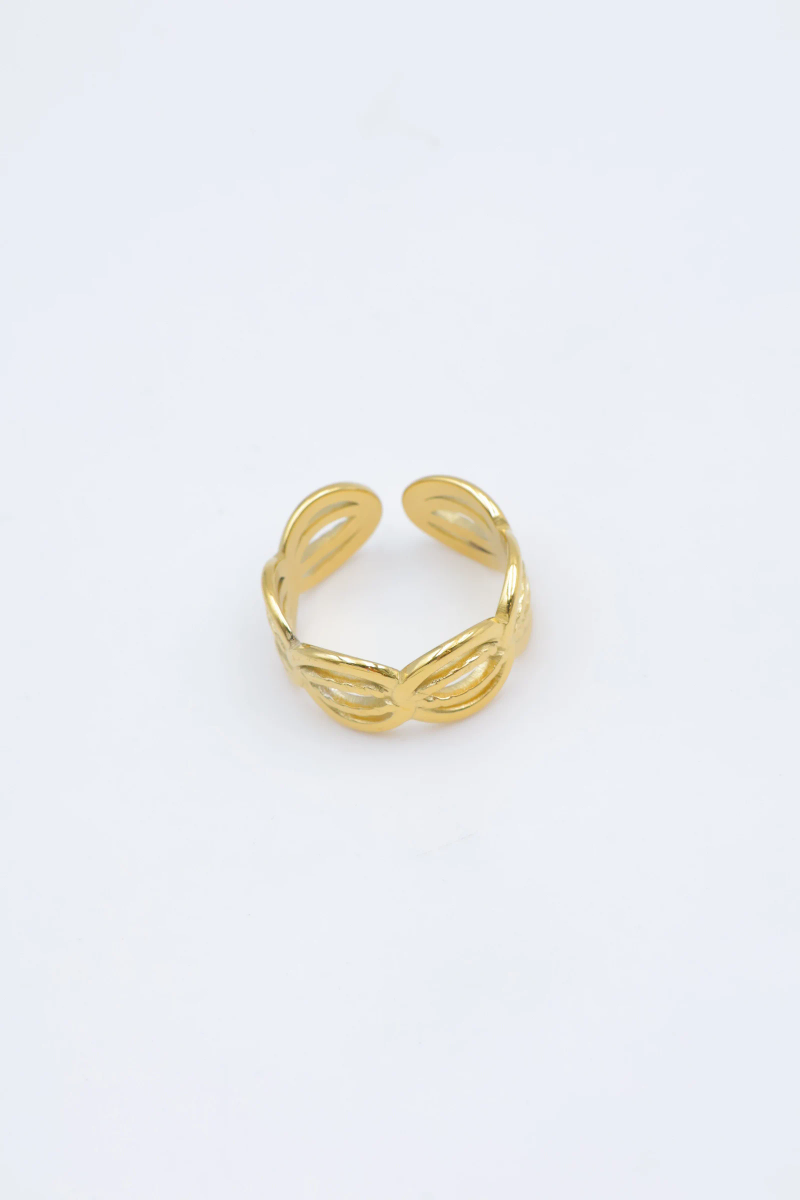 Bague en acier inoxydable ajustable 4