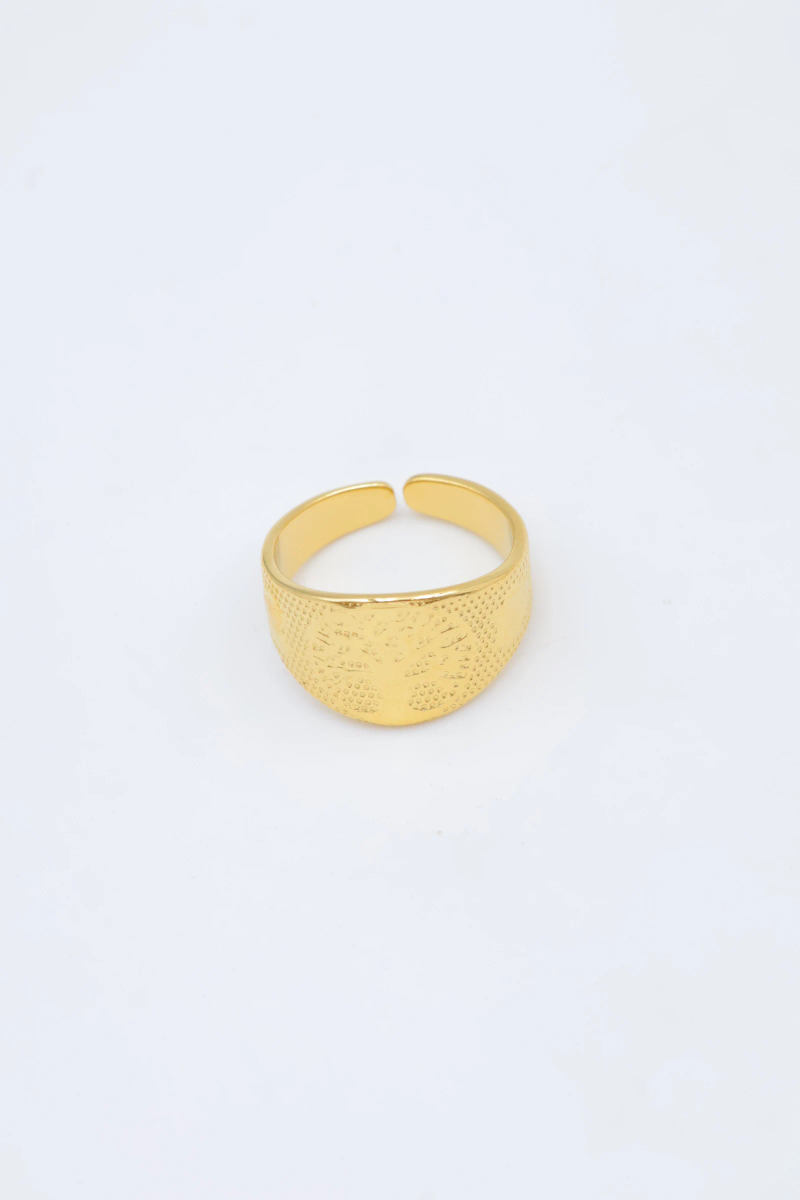Adjustable stainless steel ring 2