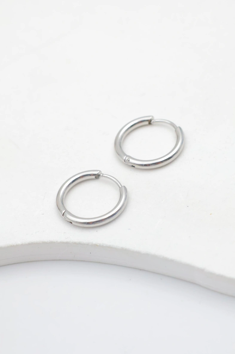 Boucles d'oreilles en acier inoxydable 2