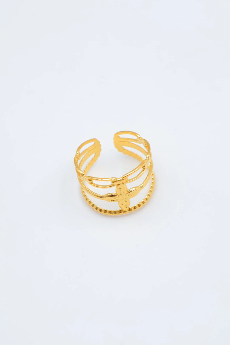 Bague en acier inoxydable ajustable 2
