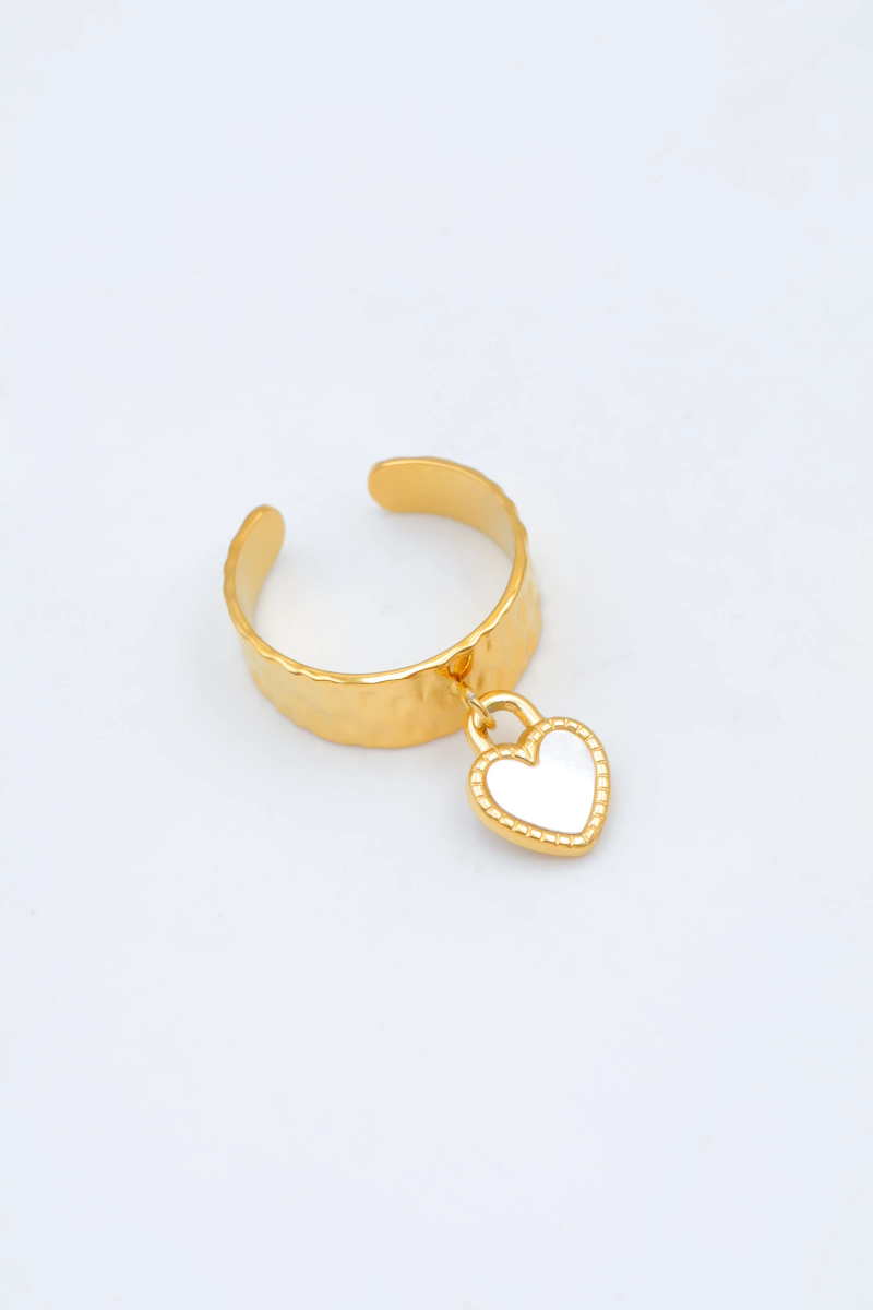 Bague en acier inoxydable ajustable 2