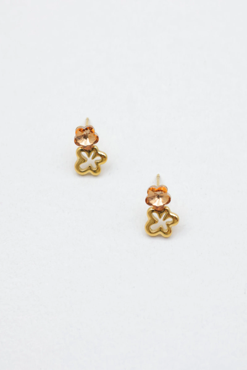 Boucles d'oreilles en acier inoxydable 2