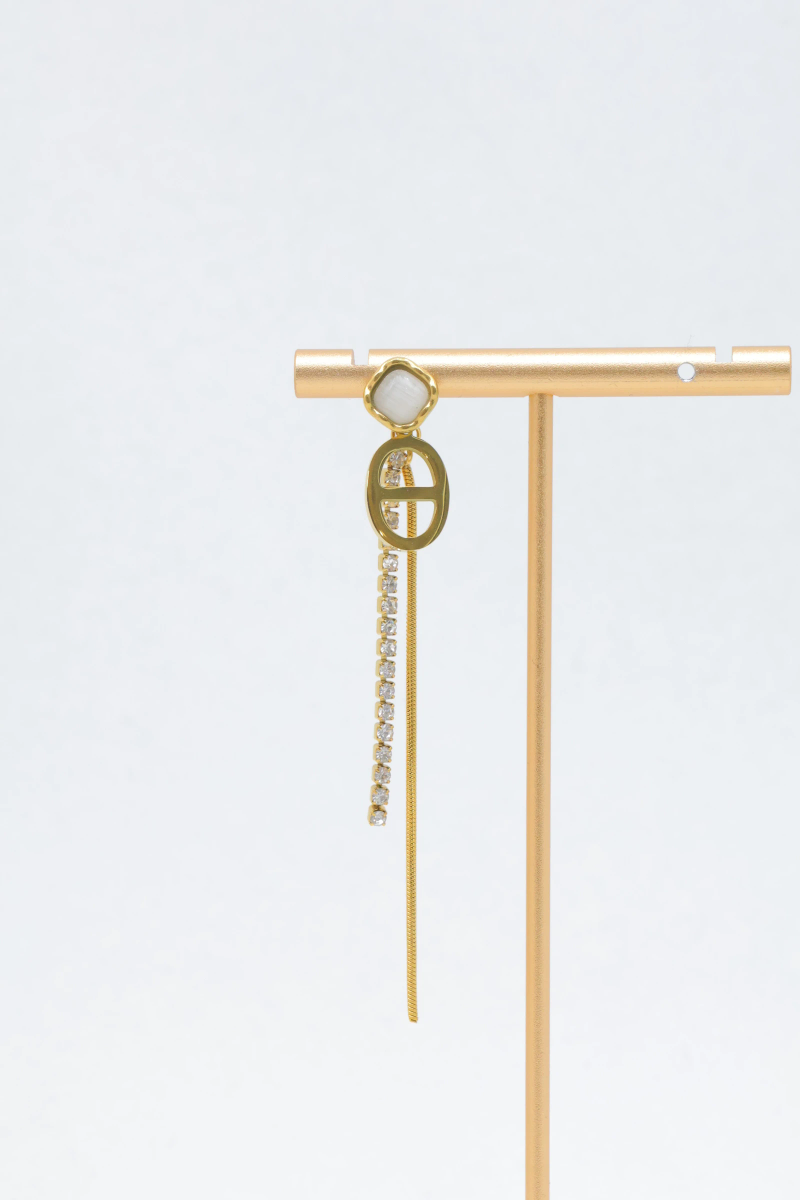 Boucle d'oreille en acier inoxydable