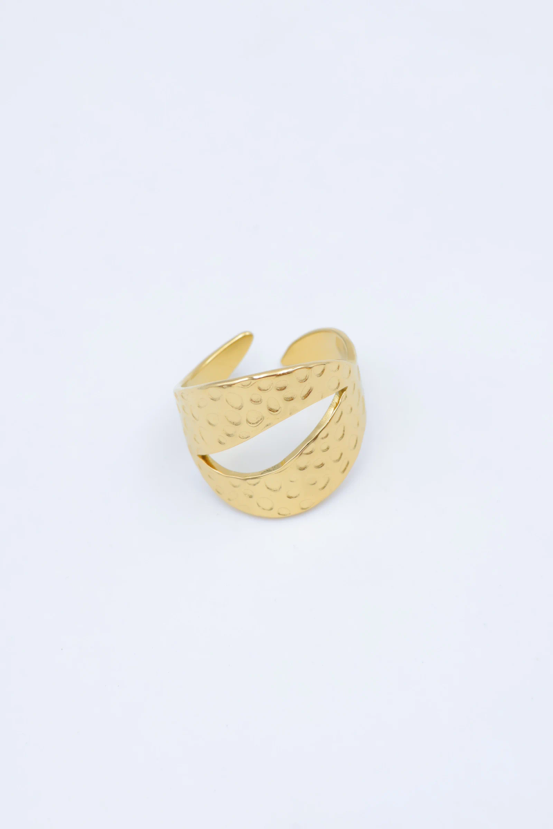 Bague en acier inoxydable ajustable 2