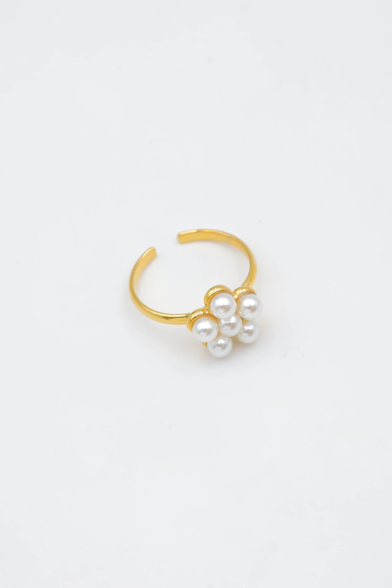 Adjustable stainless steel ring 2