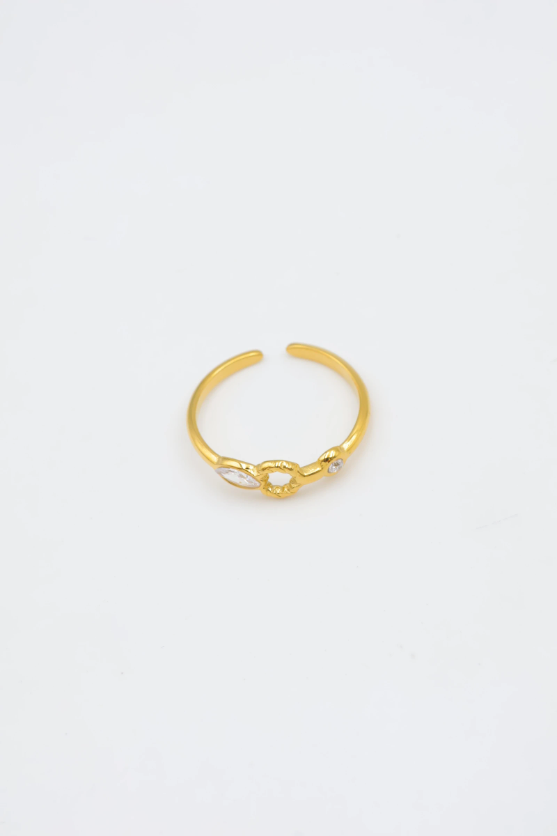 Bague en acier inoxydable ajustable 2