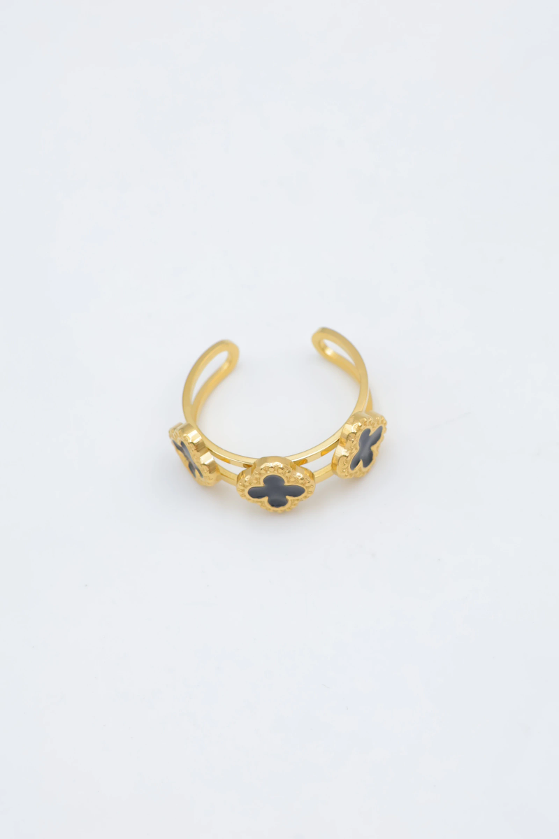 Bague en acier inoxydable ajustable 2