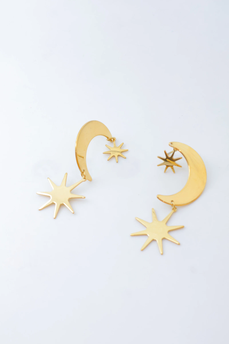 Stainless steel earrings 2