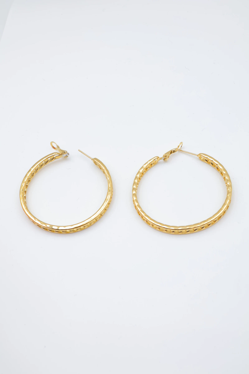 Stainless steel earrings 2