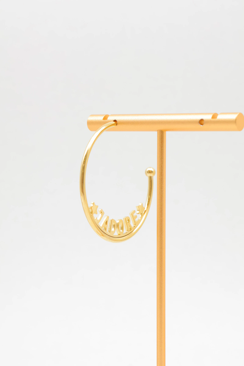 Stainless steel earrings 2