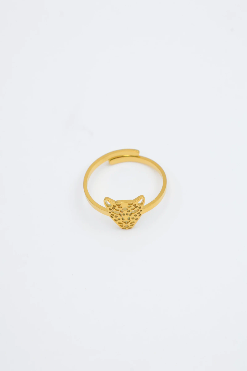 Bague en acier inoxydable ajustable 6