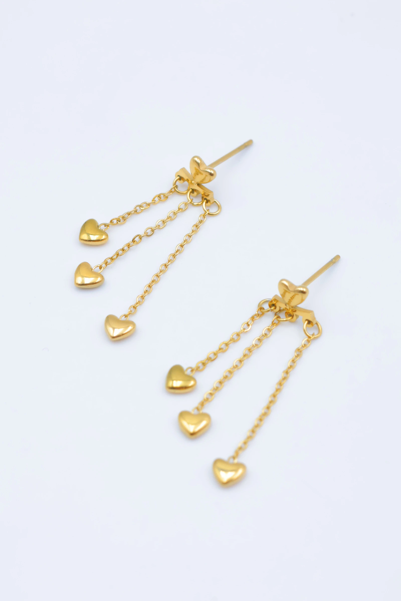 Stainless steel earrings 2