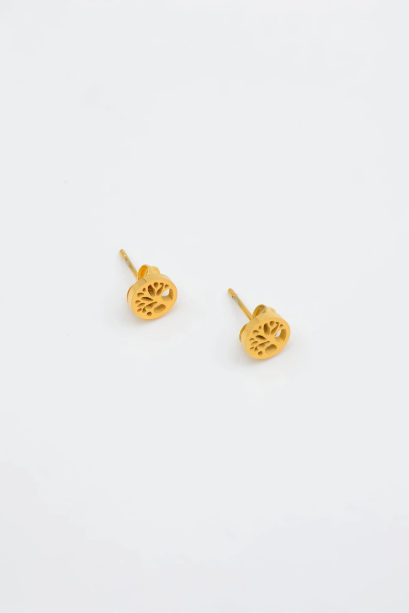 Boucles d'oreilles en acier inoxydable 2