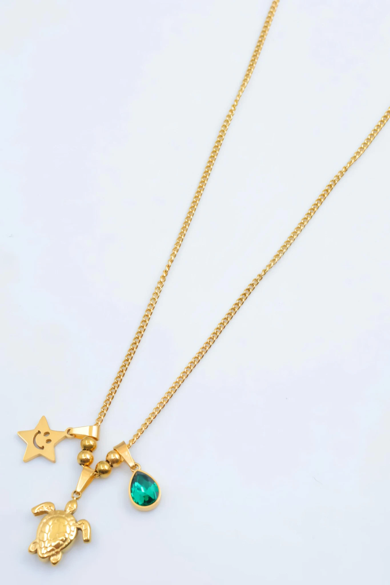 Collier en acier inoxydable 2