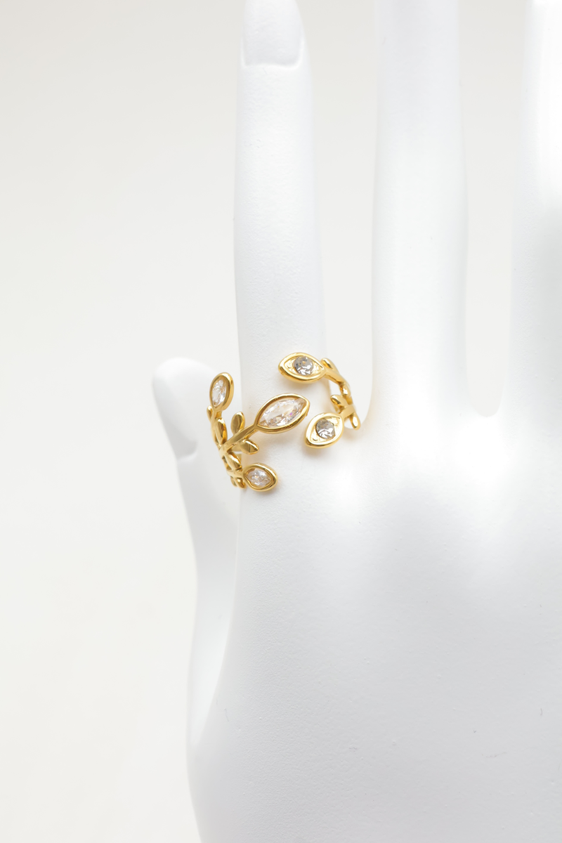 Stainless steel ring 2