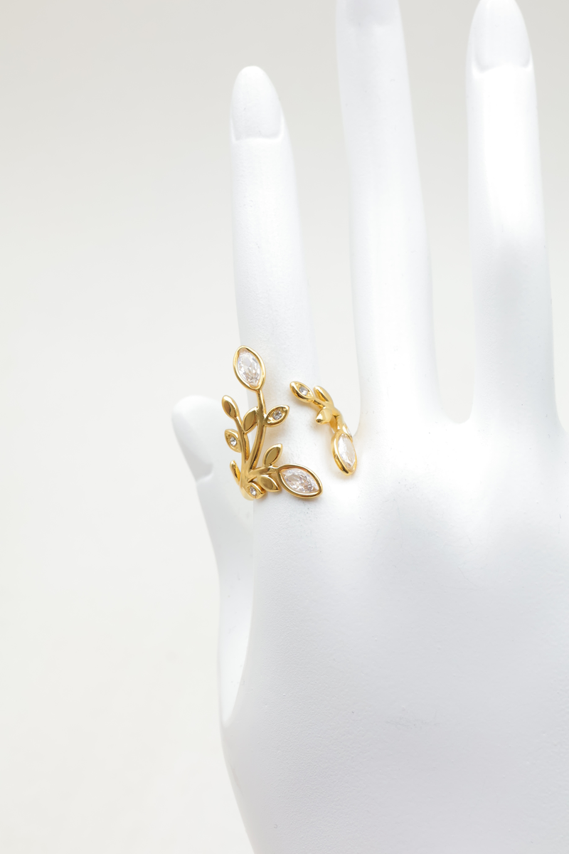 Stainless steel ring 2
