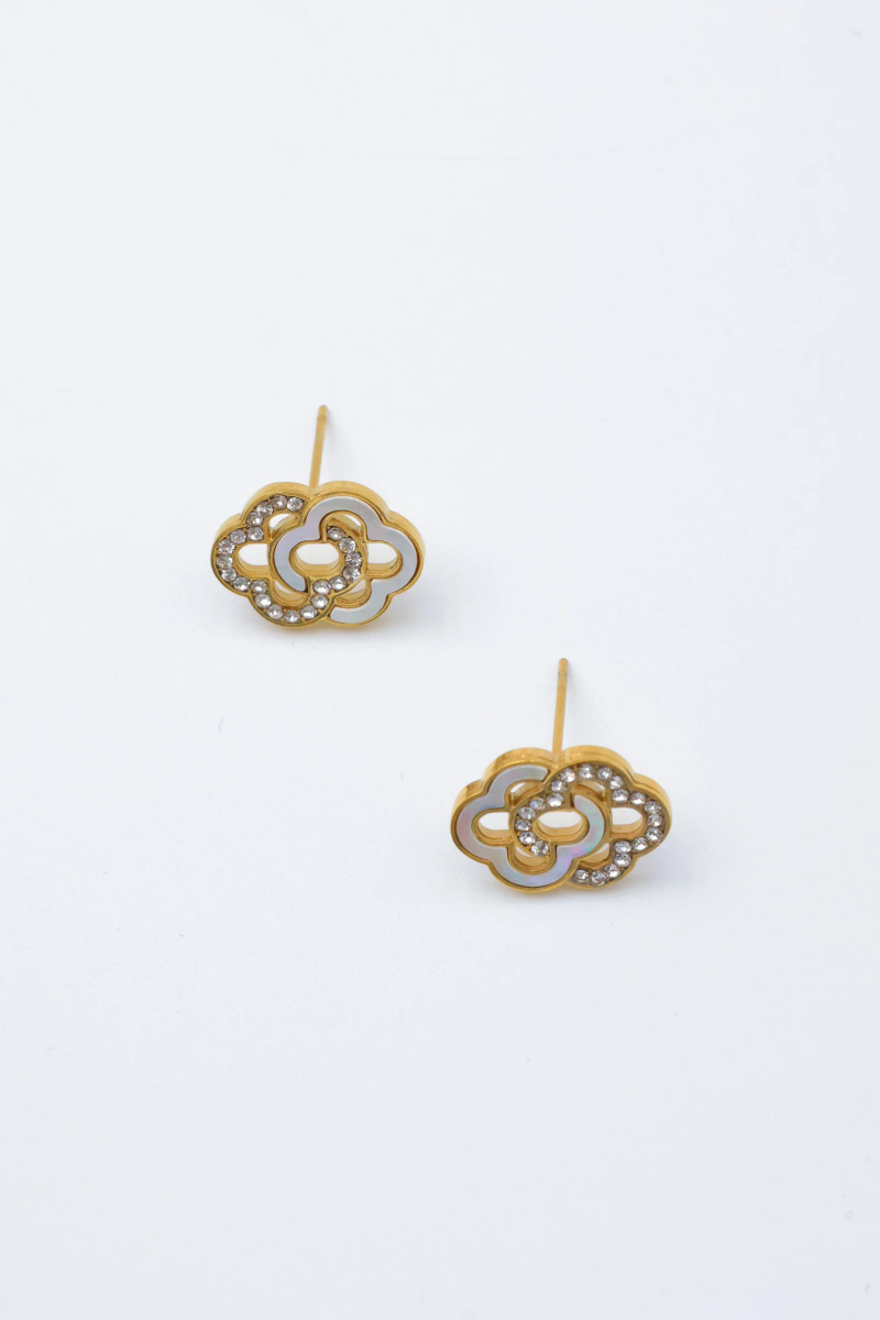 Stainless steel earrings 2