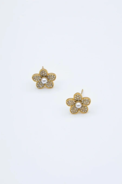 Boucles d'oreilles en acier inoxydable 2