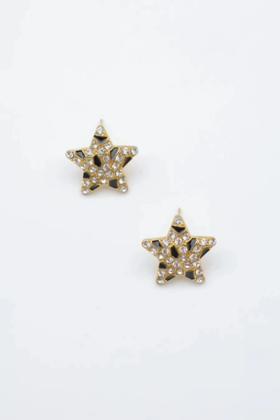 Stainless steel earrings 2