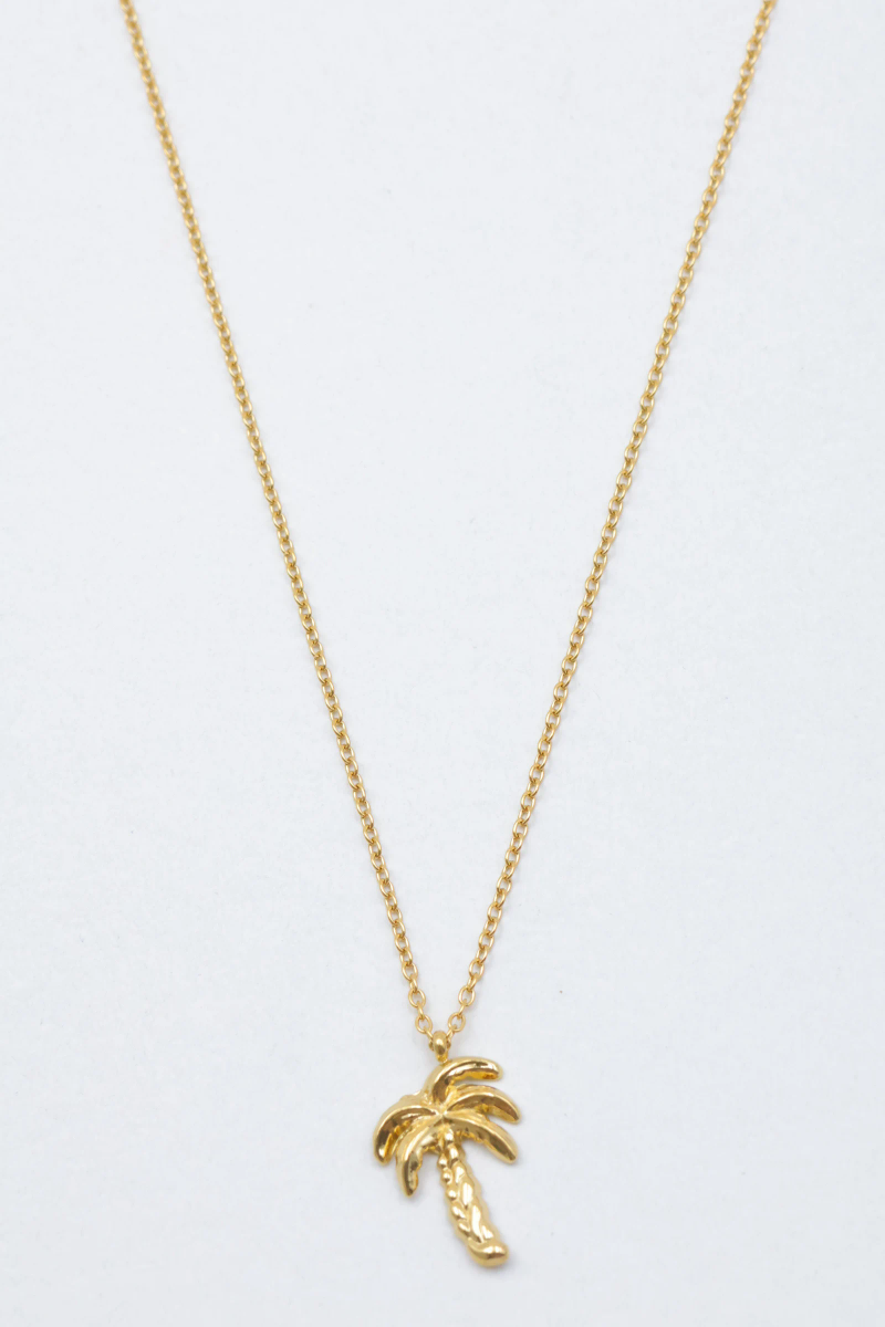 Collier en acier inoxydable 2