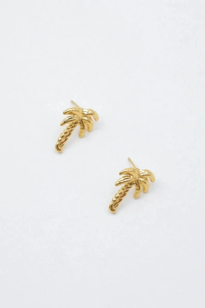 Boucles d'oreilles en acier inoxydable 2