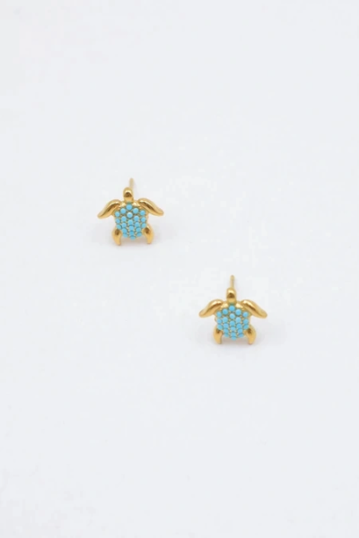 Stainless steel earrings 2