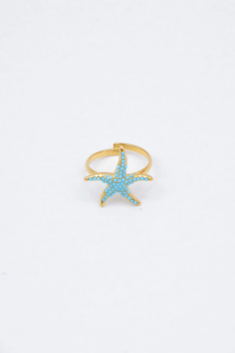 Adjustable stainless steel ring 2