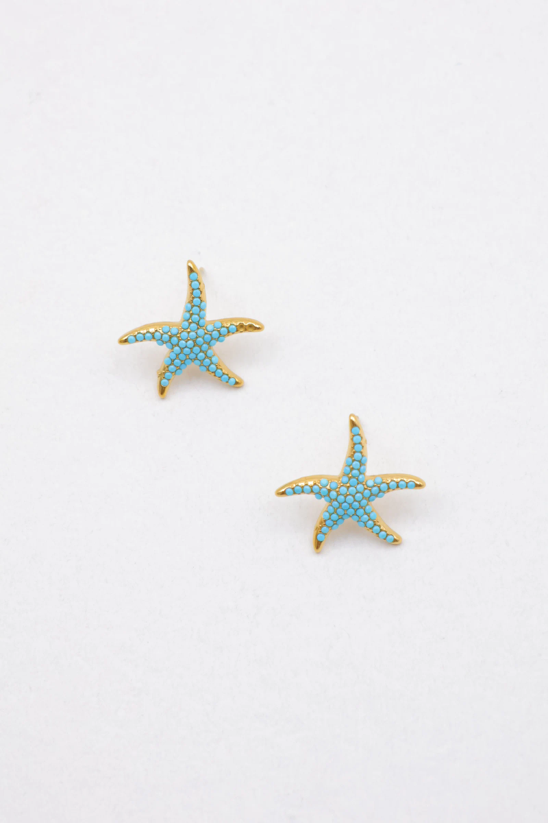Stainless steel earrings 2