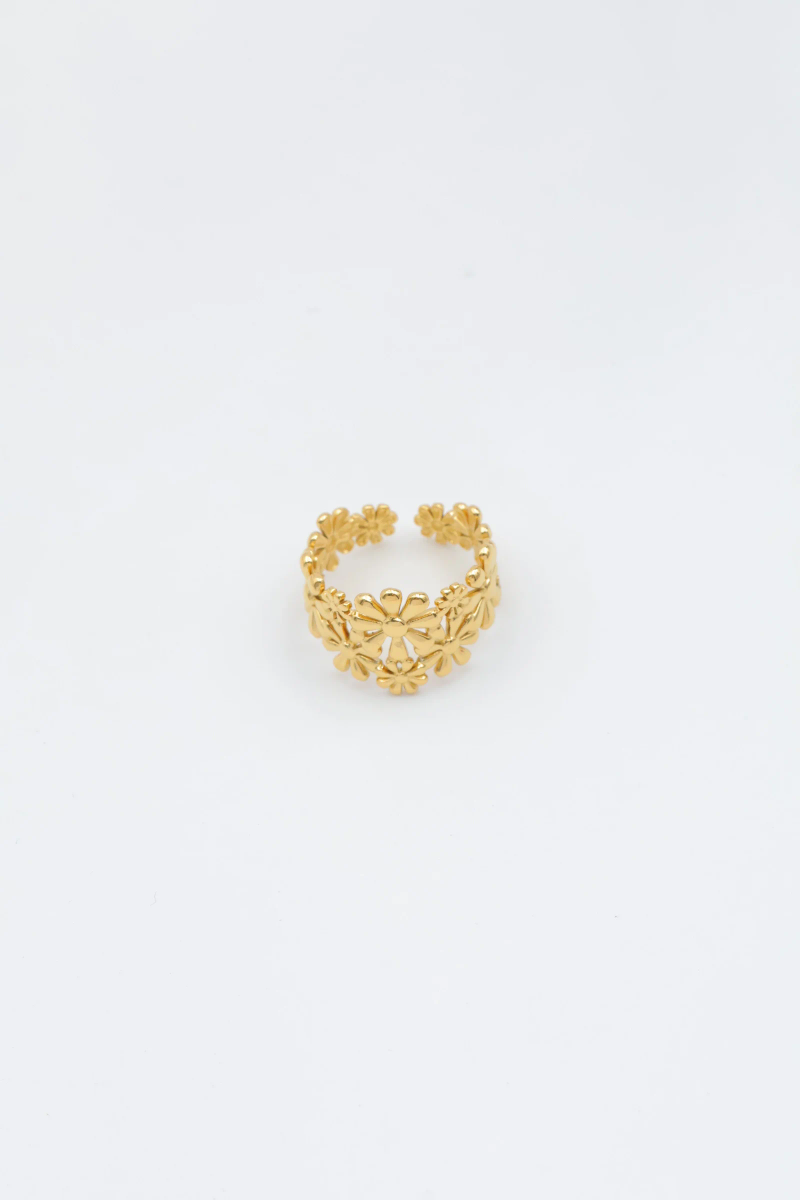 Adjustable stainless steel ring 2