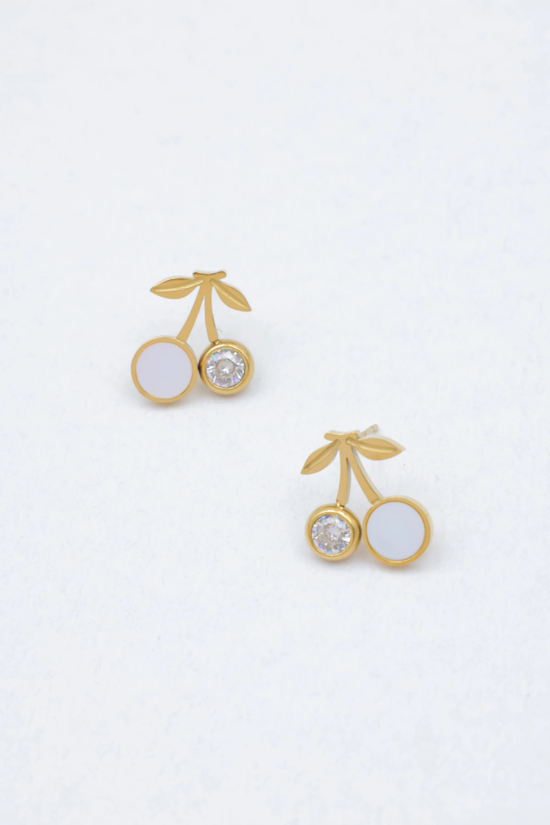 Stainless steel earrings 2