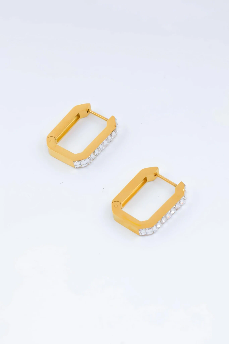 Stainless steel earrings 2