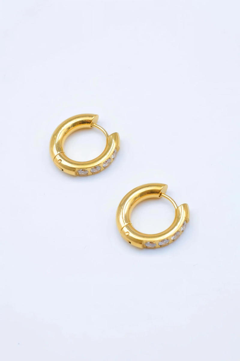 Stainless steel earrings 2
