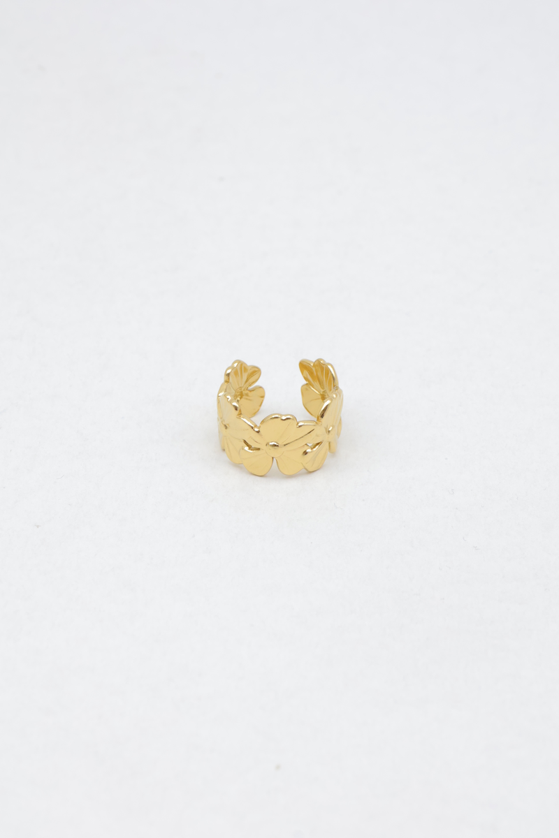 Bague en acier inoxydable 2